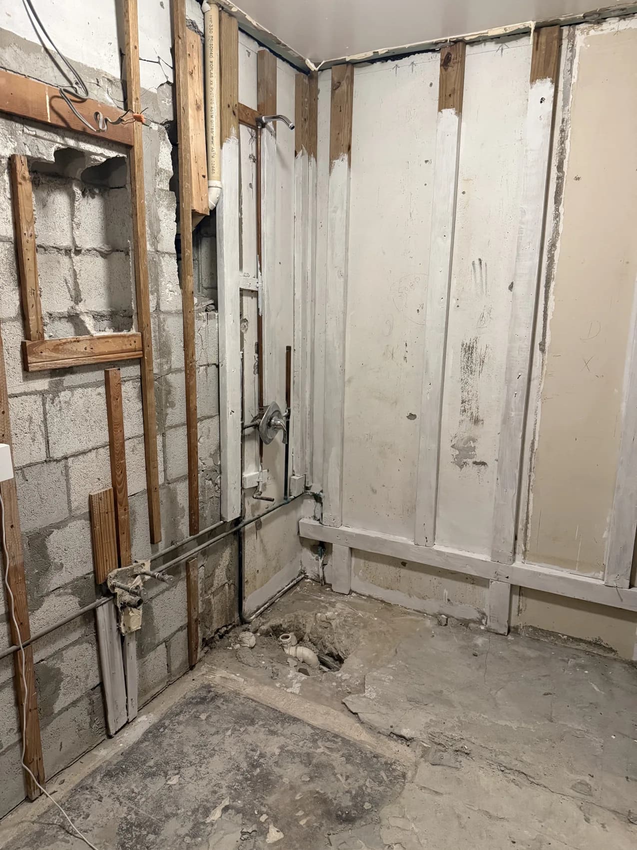 Bathroom after demolition, with exposed walls